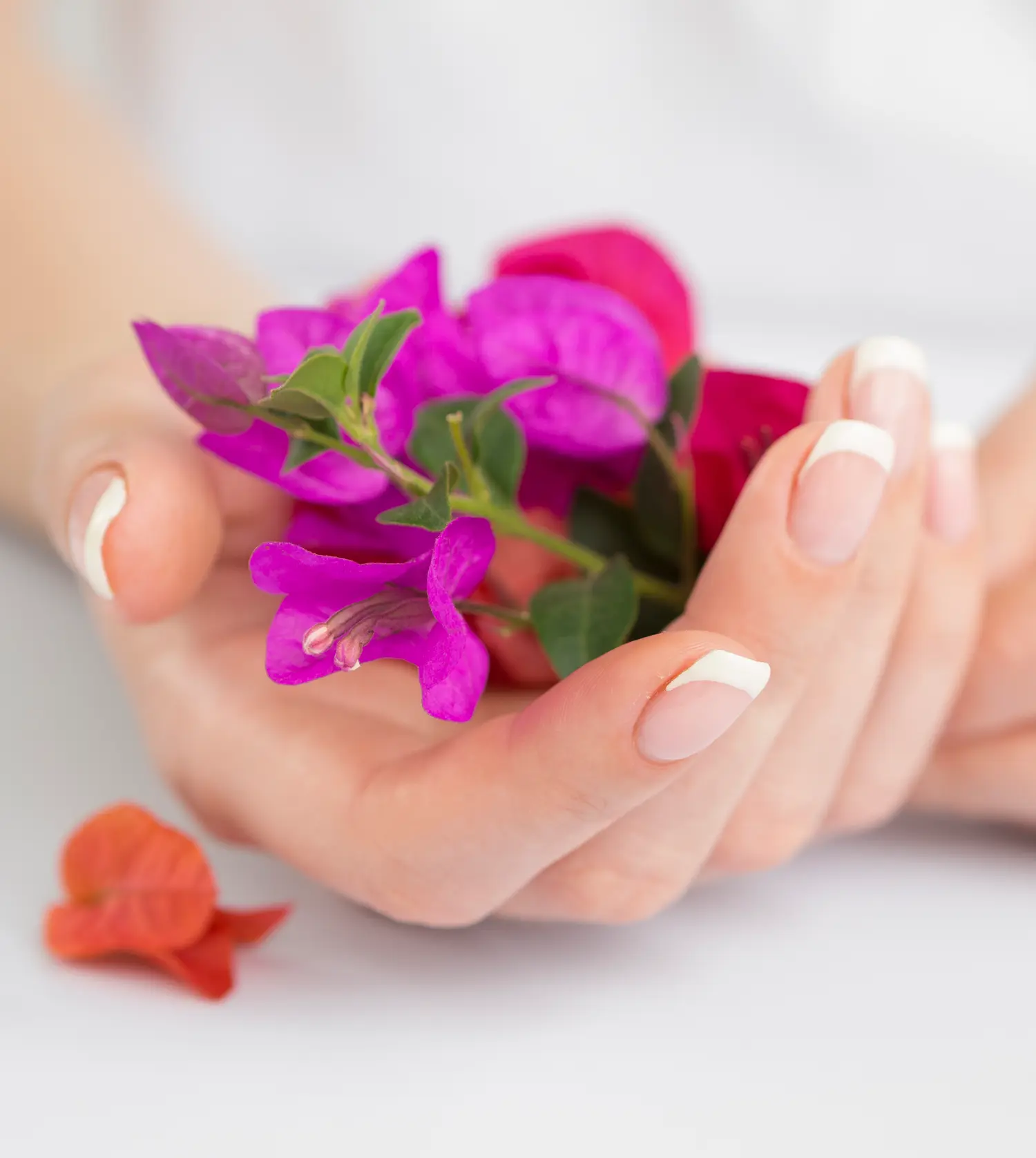 Woman's hands holding flower petals after receiving a full-set tips with gel overlay treatment at Pause Spa